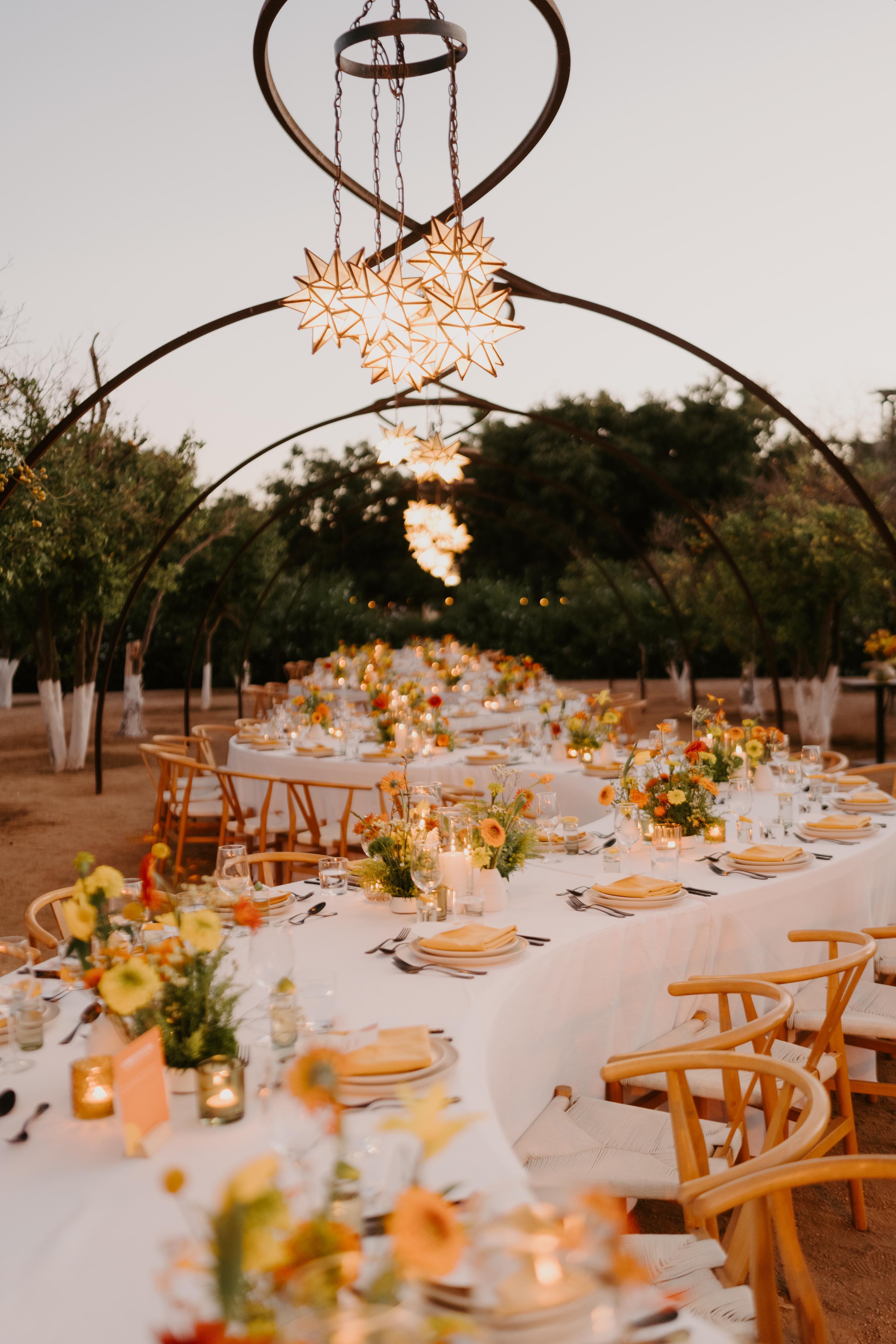 Mara & David gallery 7