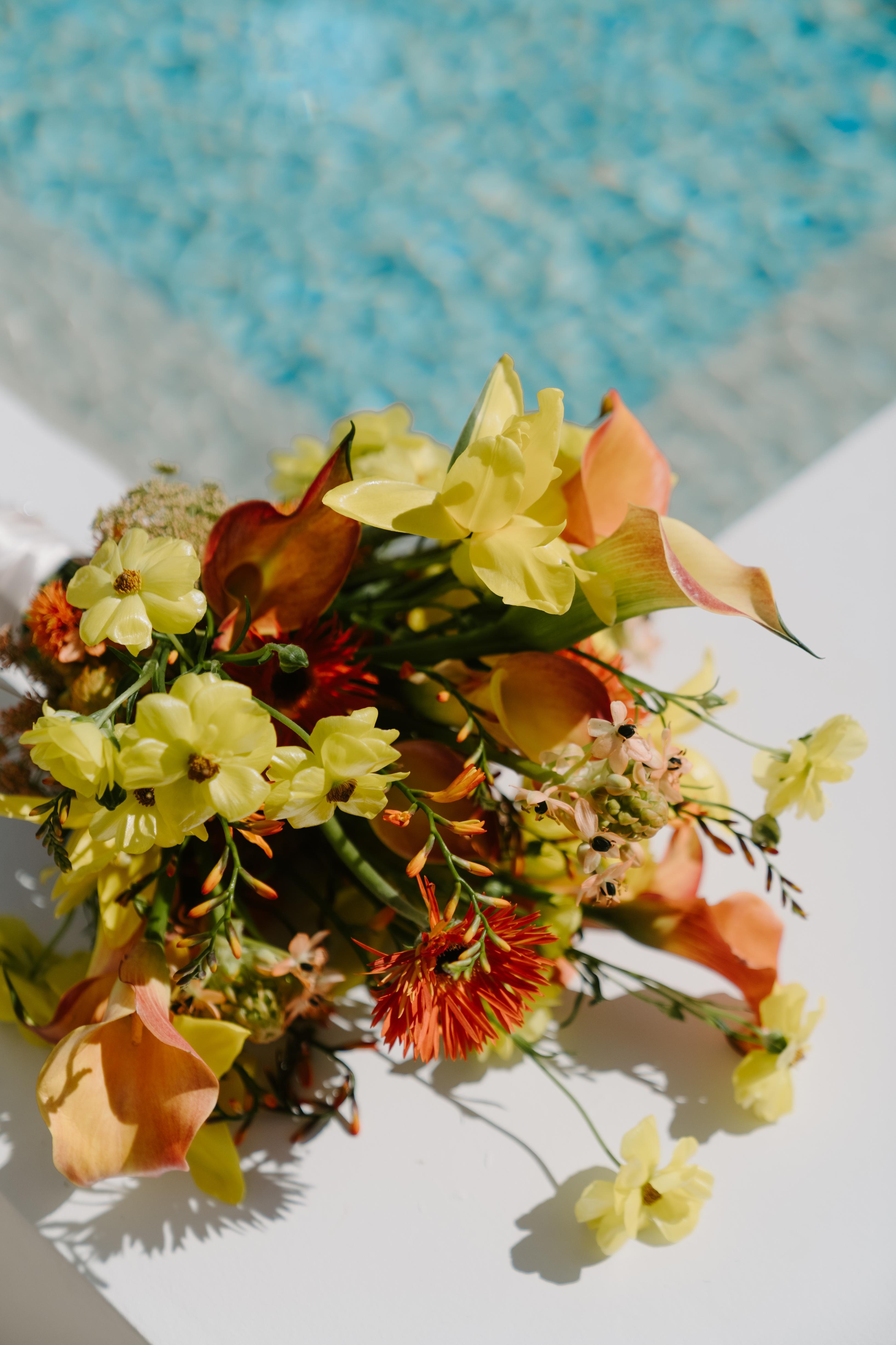 Mara & David gallery 3